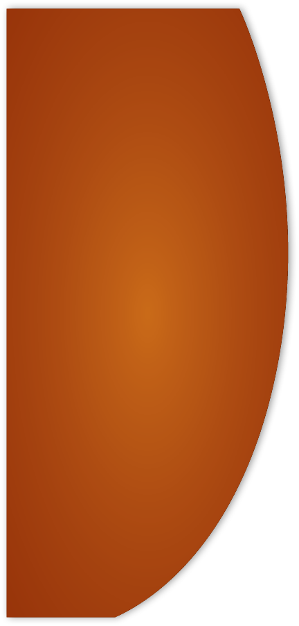 Polygon
