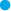 Oval
